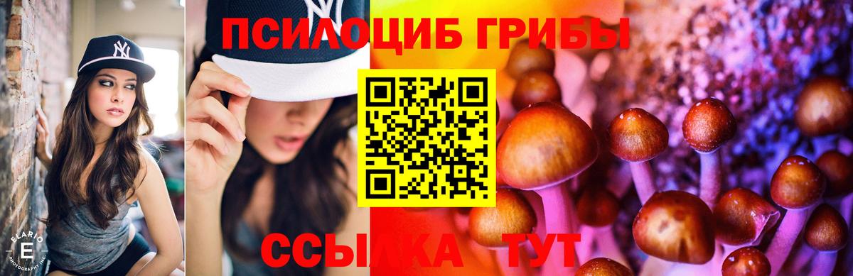 Галлюциногенные грибы GOLDEN TEACHER  Галлюциногенные грибы Cubensis  Вход с VPN  даркнет сайт  Нефтекамск 