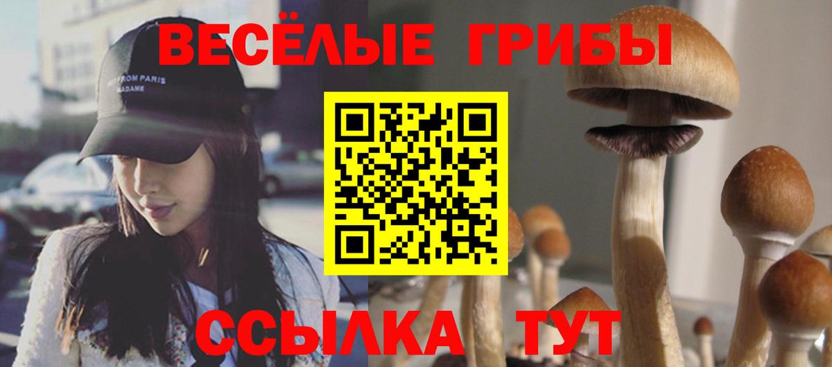 Псилоцибиновые грибы GOLDEN TEACHER Нефтекамск